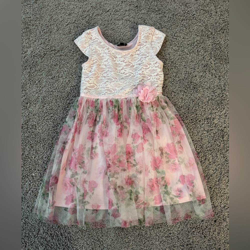 Lilt Blush and Cream Lace Dress